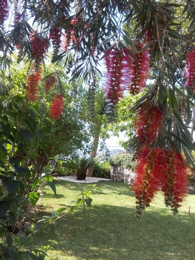 La Chambre De Ker Briac Funchal Dış mekan fotoğraf