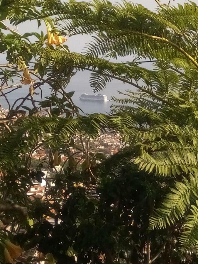 La Chambre De Ker Briac Funchal Dış mekan fotoğraf