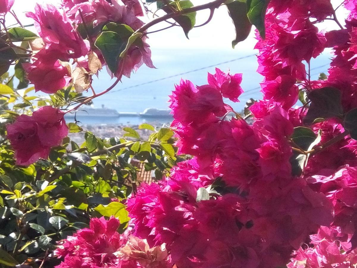 La Chambre De Ker Briac Funchal Dış mekan fotoğraf